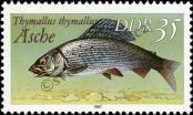Stamp German Democratic Republic Catalog number: 3098/I