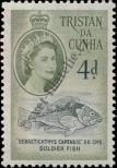 Stamp Tristan da Cunha Catalog number: 34