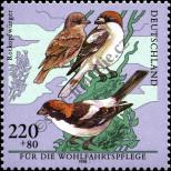 Stamp Germany Federal Republic Catalog number: 2019