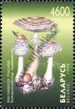 Stamp Belorussia Catalog number: 282