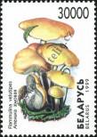 Stamp Belorussia Catalog number: 330