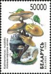 Stamp Belorussia Catalog number: 331