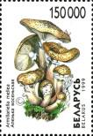 Stamp Belorussia Catalog number: 334