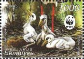 Stamp Belorussia Catalog number: 600