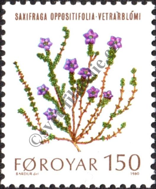 Catalog number: 50