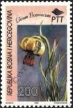 Stamp Bosnia and Herzegovina Catalog number: 30