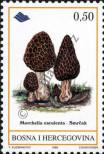 Stamp Bosnia and Herzegovina Catalog number: 141