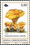 Stamp Bosnia and Herzegovina Catalog number: 142