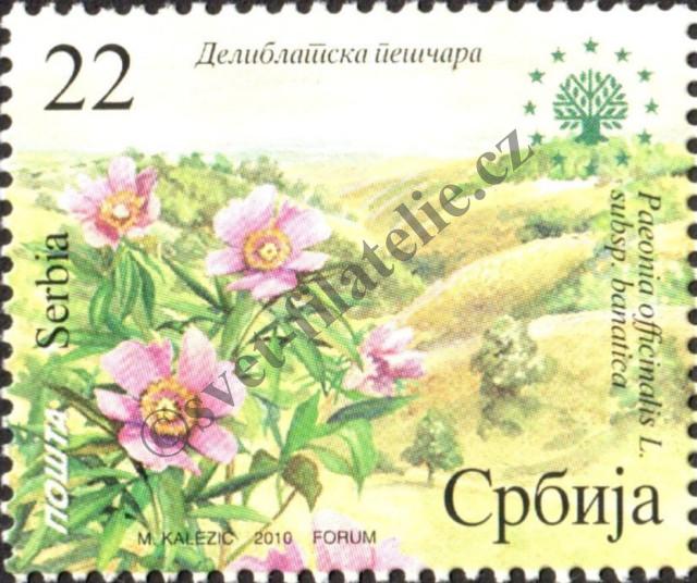 Catalog number: 335/A