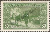 Stamp Austro-Hungarian rule in Bosnia and Herzegovina Catalog number: 37
