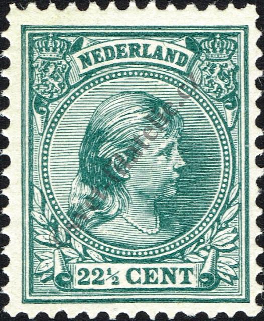 Catalog number: 41/a