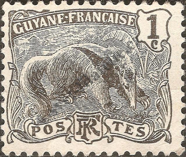 Catalog number: 49