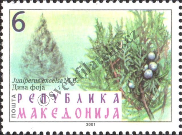 Catalog number: 234