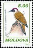 Stamp Moldavia Catalog number: 58