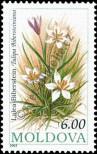 Stamp Moldavia Catalog number: 81