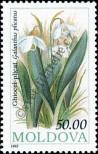 Stamp Moldavia Catalog number: 85