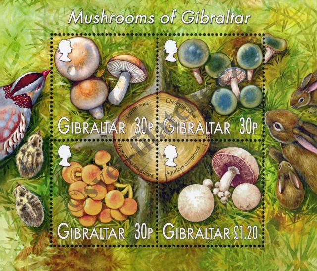 Catalog number: B/57