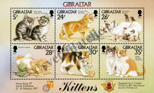 Catalog number: B/27