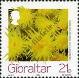 Stamp Gibraltar Catalog number: 696