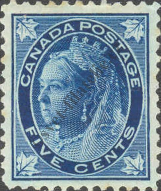 Catalog number: 58