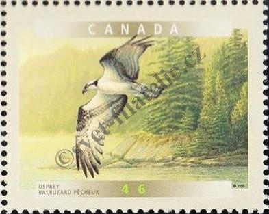 Catalog number: 1898