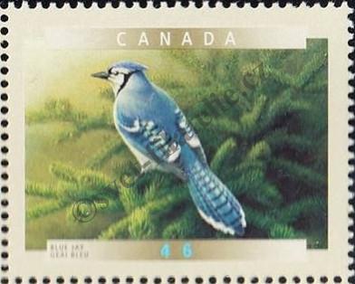 Catalog number: 1900