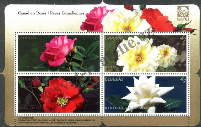 Catalog number: B/57