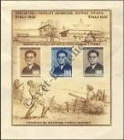 Stamp Albania Catalog number: B/4