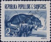 Stamp Albania Catalog number: 627