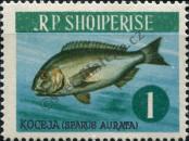 Stamp Albania Catalog number: 810