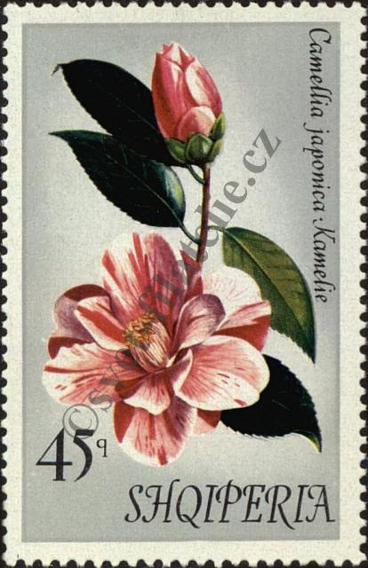 Catalog number: 1553
