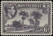 Stamp Montserrat Catalog number: 99