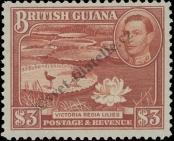 Stamp Guyana Catalog number: 187/A