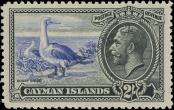 Stamp Cayman Islands Catalog number: 95