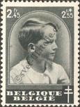 Stamp Belgium Catalog number: 442