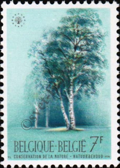 Catalog number: 1584